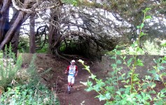 Grand Raid du Morbihan