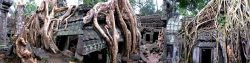 Temple de Ta Prohm Ultra Trail d'Angkor