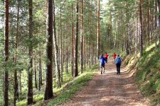 Marche nordique en Finlande